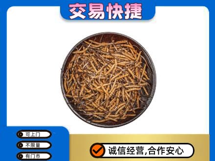 日喀则白朗县高价回收散虫草